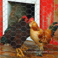 Reti di filo esagonale zincato per mesh di pollo